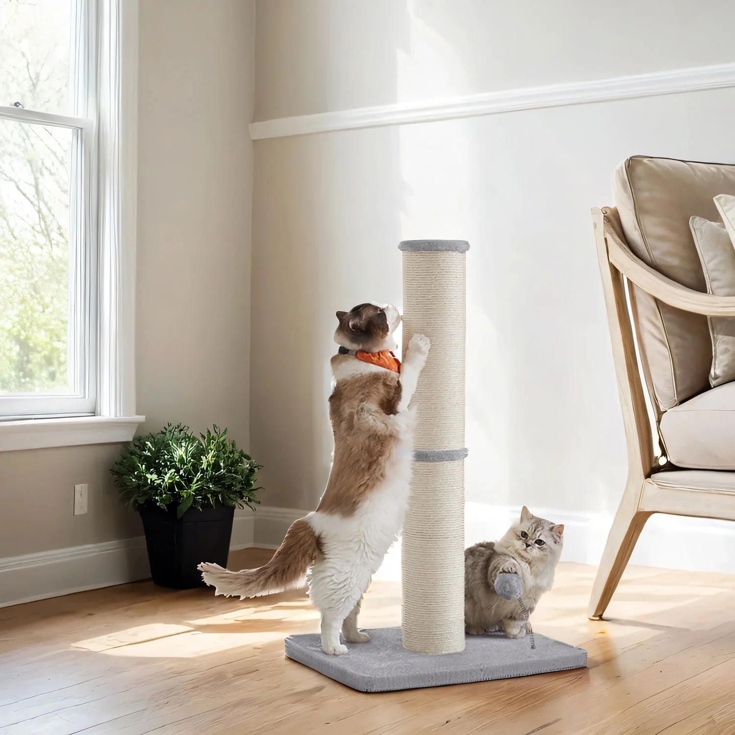 53 cm Tall Cat Scratching Post with Spring Pompom Dove Grey