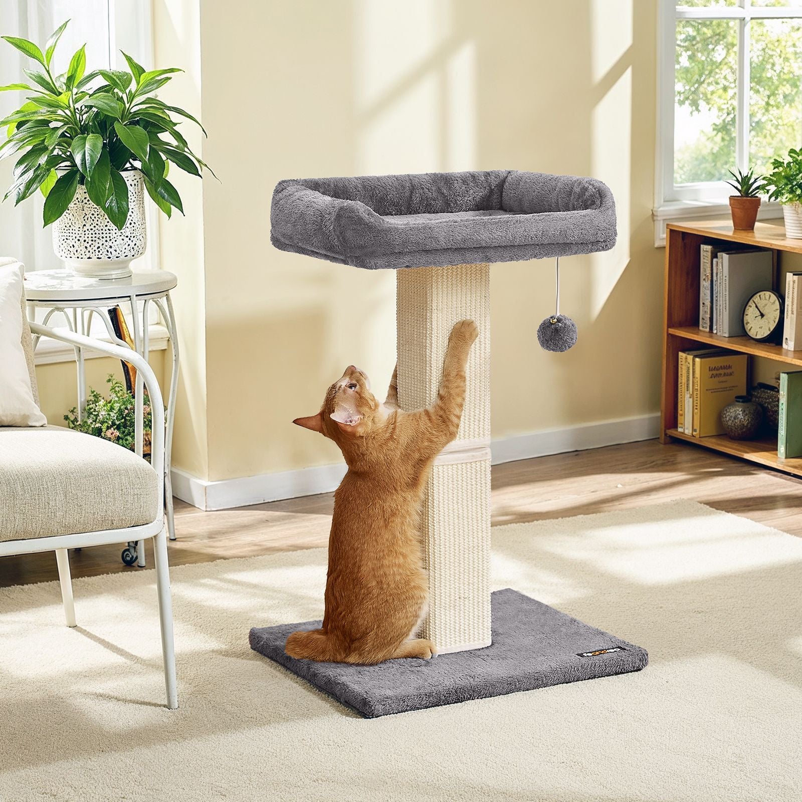 Cat Scratching Post