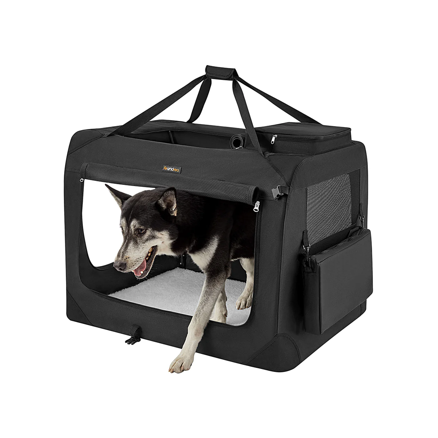 Pet Carrier Bag
