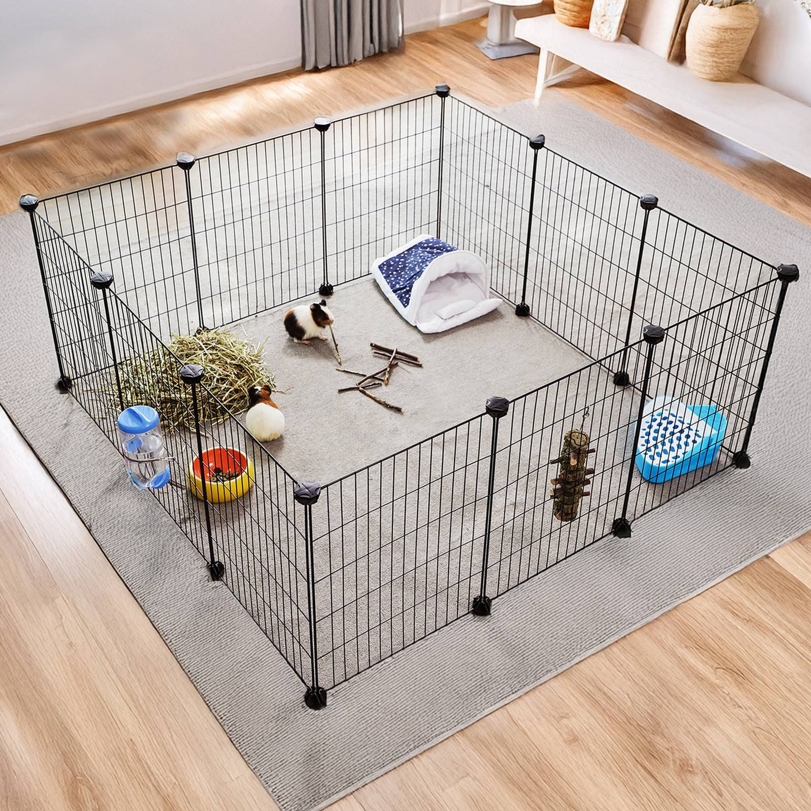Guinea Pigs Cages