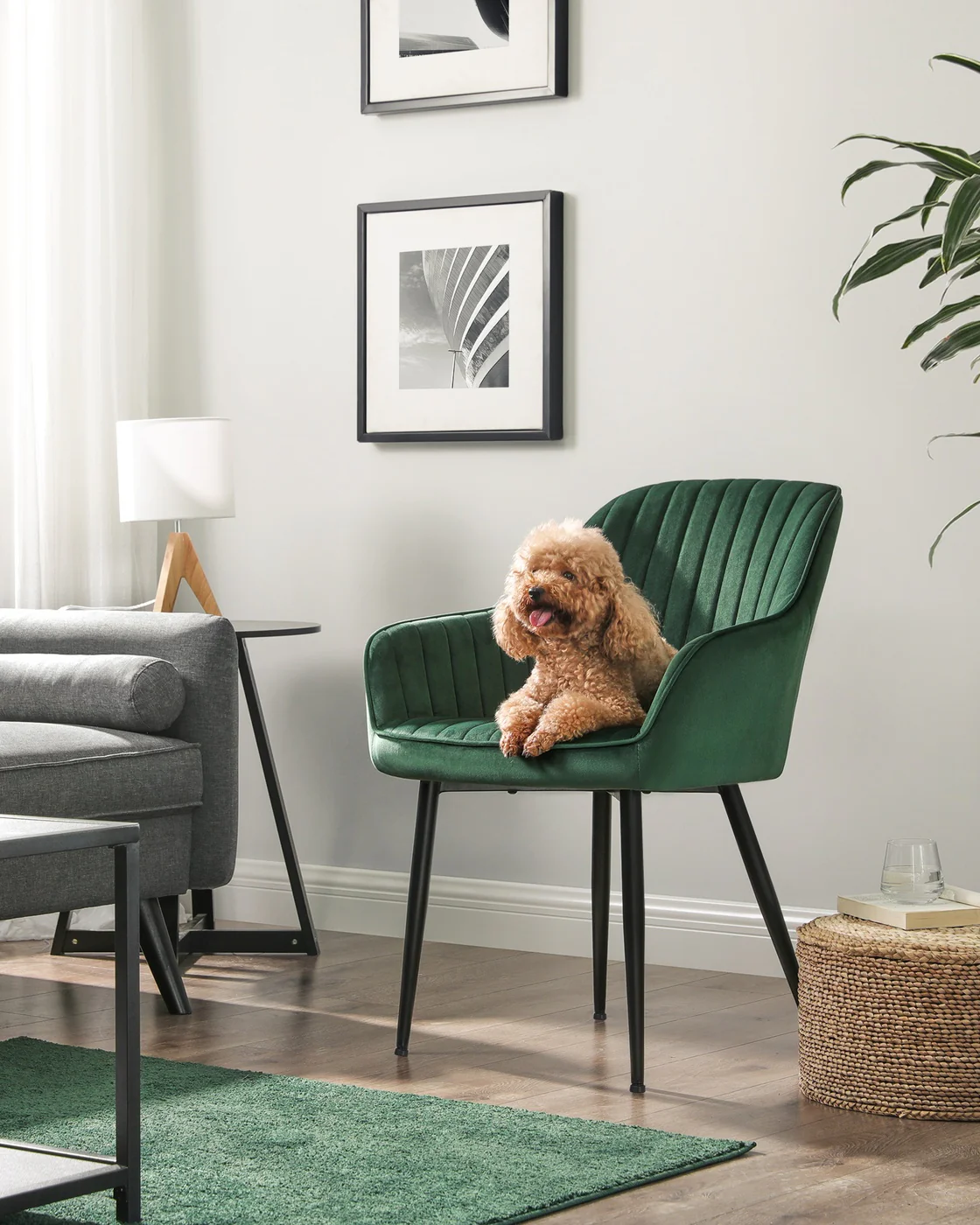 Upholstered Dining Chair with Armrest